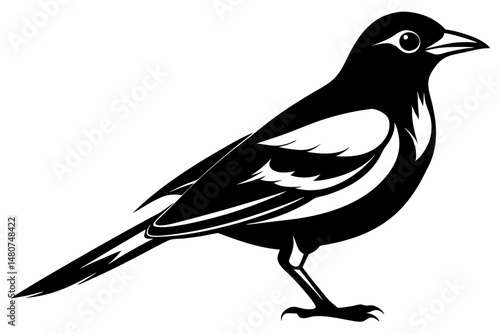 oriole silhouette line art vector illustration with a white background