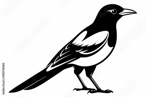 oriole silhouette line art vector illustration with a white background