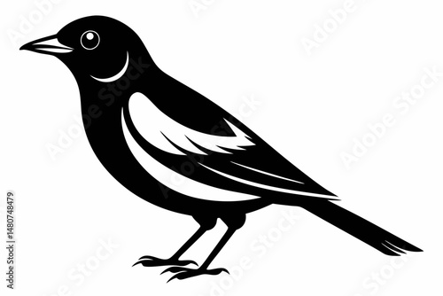 oriole silhouette line art vector illustration with a white background