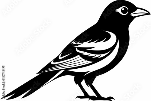 oriole silhouette line art vector illustration with a white background