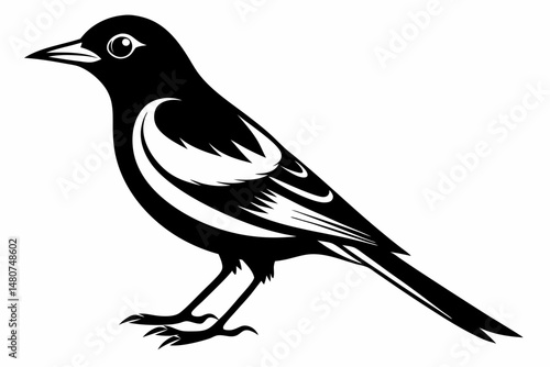 oriole silhouette line art vector illustration with a white background