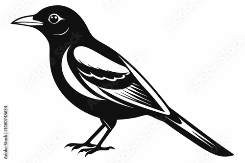 oriole silhouette line art vector illustration with a white background