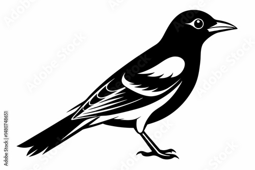 oriole silhouette line art vector illustration with a white background