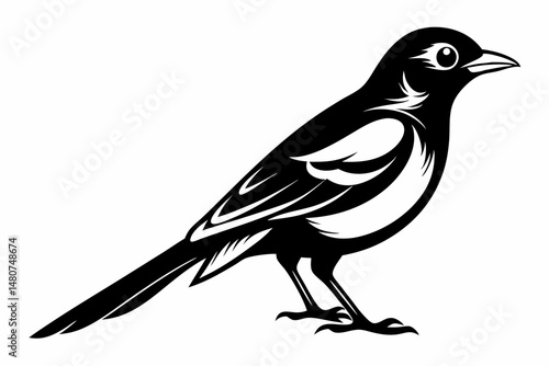 oriole silhouette line art vector illustration with a white background