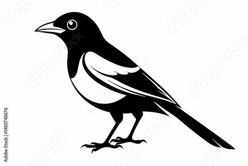 oriole silhouette line art vector illustration with a white background