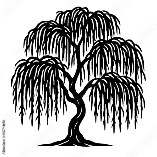 Branches of Grace: An Illustration of a Weeping Willow Tree With Long, Drooping Branches, Symbolizing Sadness, Mourning, Natural Beauty, Or A Classic Botanical Form Found in Landscapes and Art