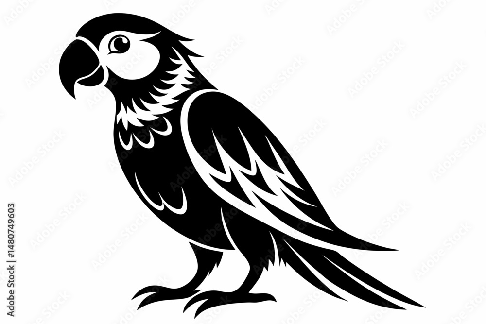 Obraz premium parrot on white background