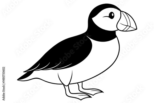 puffin silhouette line art vector illustration with a white background