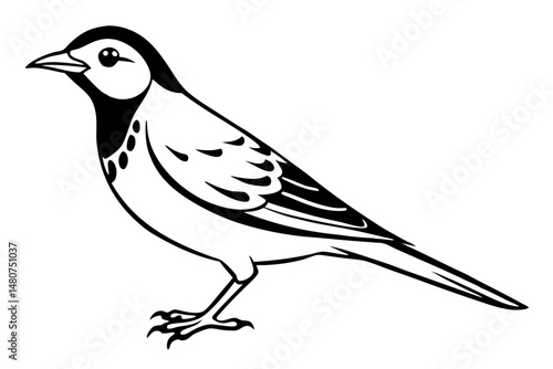 skylark silhouette line art vector illustration with a white background
