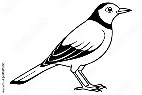 skylark silhouette line art vector illustration with a white background