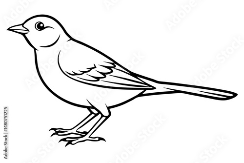 skylark silhouette line art vector illustration with a white background