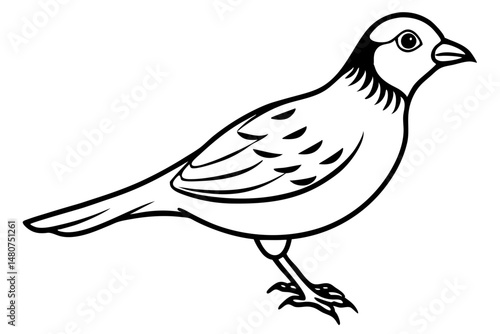 skylark silhouette line art vector illustration with a white background