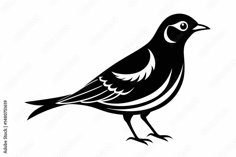 Obraz premium skylark silhouette line art vector illustration with a white background