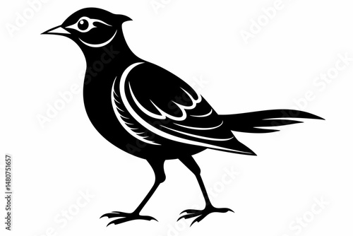 skylark silhouette line art vector illustration with a white background