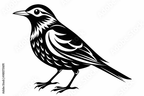 skylark silhouette line art vector illustration with a white background