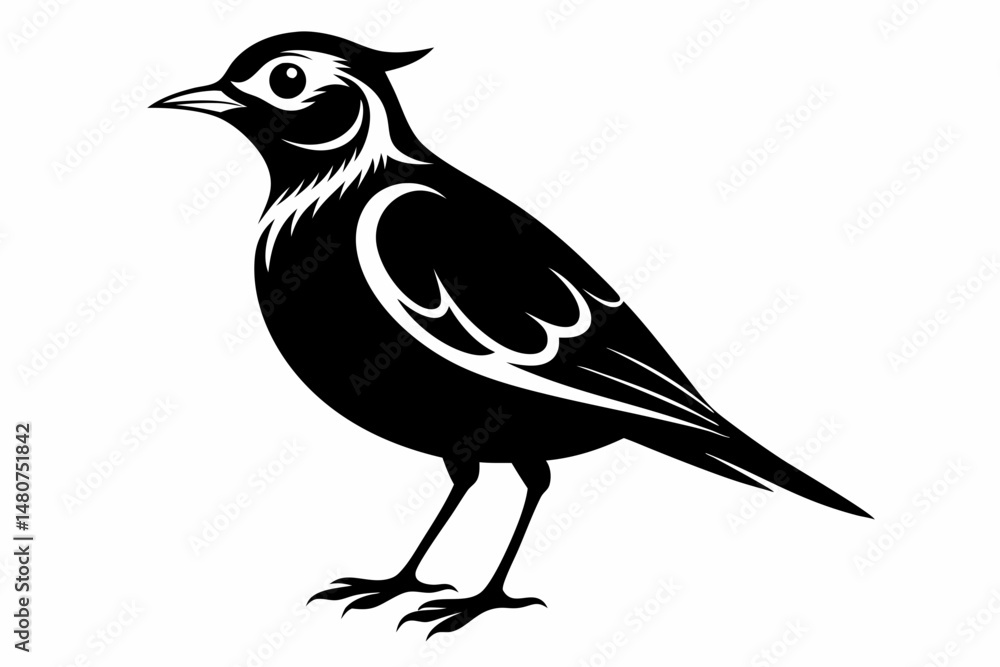 Obraz premium skylark silhouette line art vector illustration with a white background