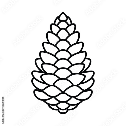 pinecone design illustration line art vector