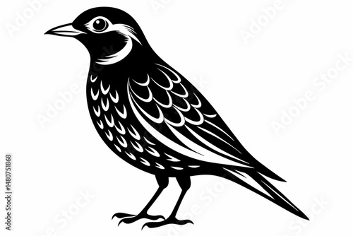 skylark silhouette line art vector illustration with a white background