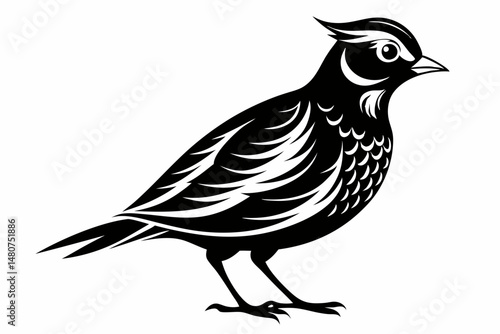 skylark silhouette line art vector illustration with a white background