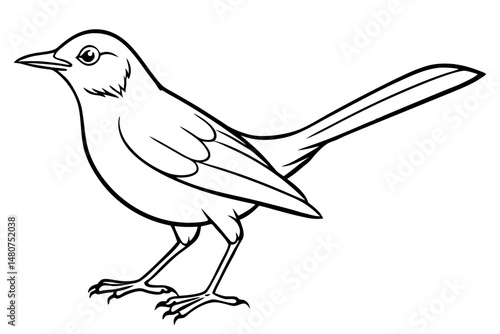 thrush silhouette line art vector illustration with a white background