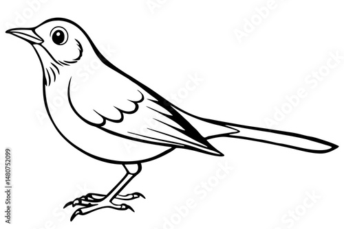 thrush silhouette line art vector illustration with a white background