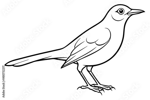 thrush silhouette line art vector illustration with a white background