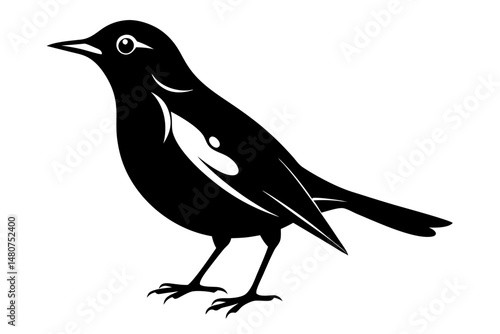thrush silhouette line art vector illustration with a white background