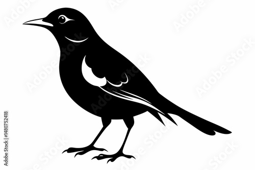 thrush silhouette line art vector illustration with a white background