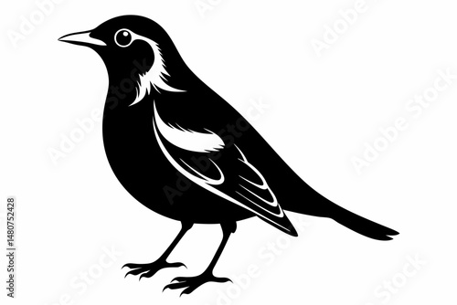 thrush silhouette line art vector illustration with a white background