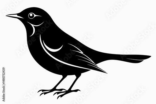 thrush silhouette line art vector illustration with a white background