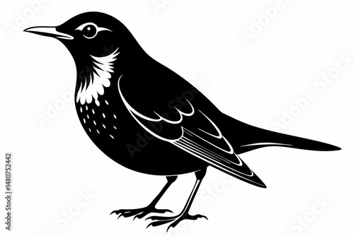 thrush silhouette line art vector illustration with a white background