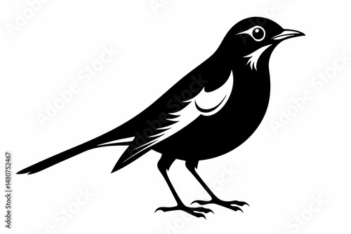thrush silhouette line art vector illustration with a white background