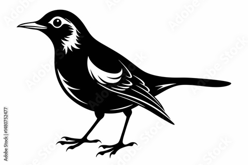 thrush silhouette line art vector illustration with a white background