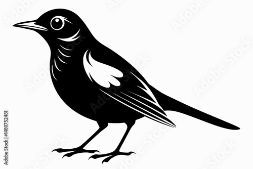 thrush silhouette line art vector illustration with a white background