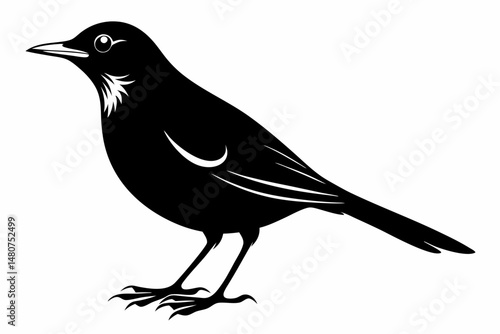 thrush silhouette line art vector illustration with a white background