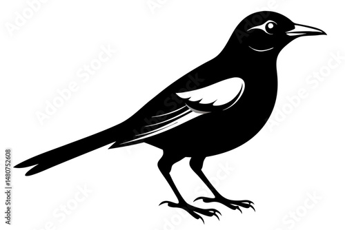 thrush silhouette line art vector illustration with a white background