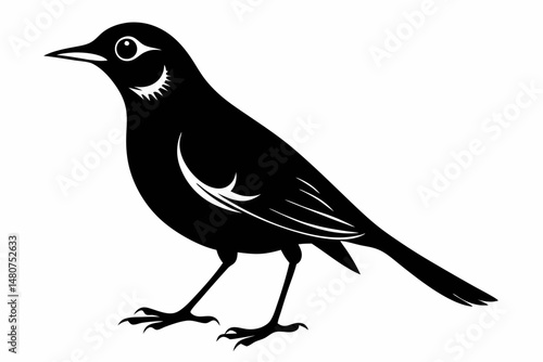 thrush silhouette line art vector illustration with a white background