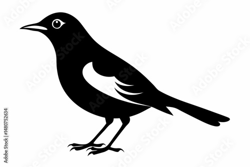 thrush silhouette line art vector illustration with a white background