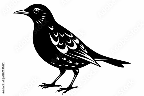 thrush silhouette line art vector illustration with a white background