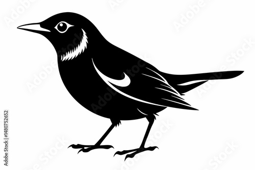 thrush silhouette line art vector illustration with a white background