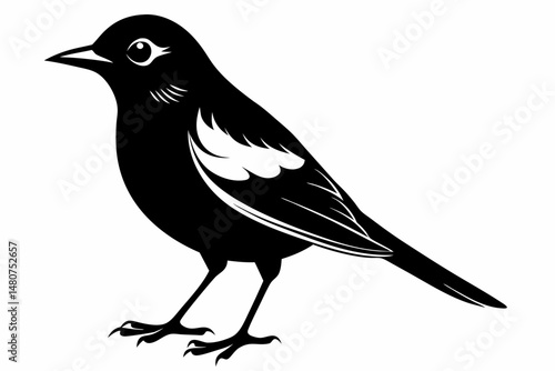 thrush silhouette line art vector illustration with a white background