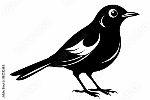 thrush silhouette line art vector illustration with a white background