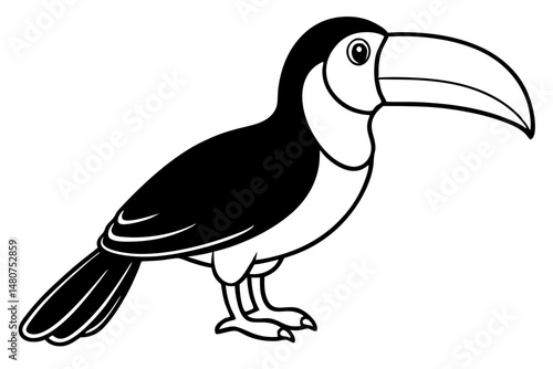 toucan silhouette line art vector illustration with a white background