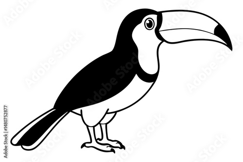 toucan silhouette line art vector illustration with a white background