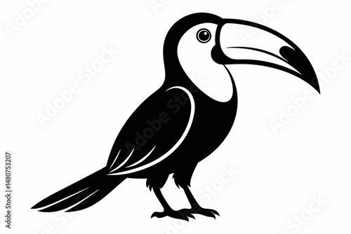 toucan silhouette line art vector illustration with a white background