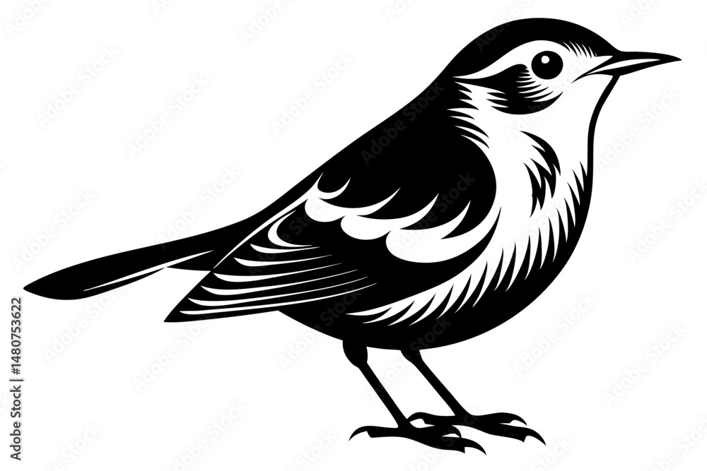 Obraz premium warbler silhouette line art vector illustration with a white background