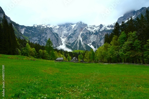 Springtime meadow and a cottage at the forest edge and mountains above at Ravenska Kočna valley and Jezersko in Gorenjska, Slovenia
