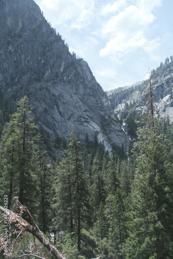 Obraz premium Yosemite National Park in California’s Sierra Nevada mountains green foliage on sunny day beautiful landscape