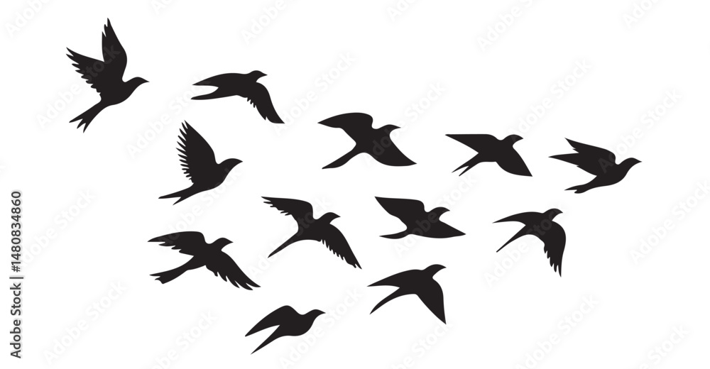 Silhouette of birds Silhouette of birds