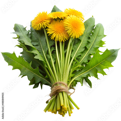Dandelion Greens Fresh And Vibrant On Transparent Background